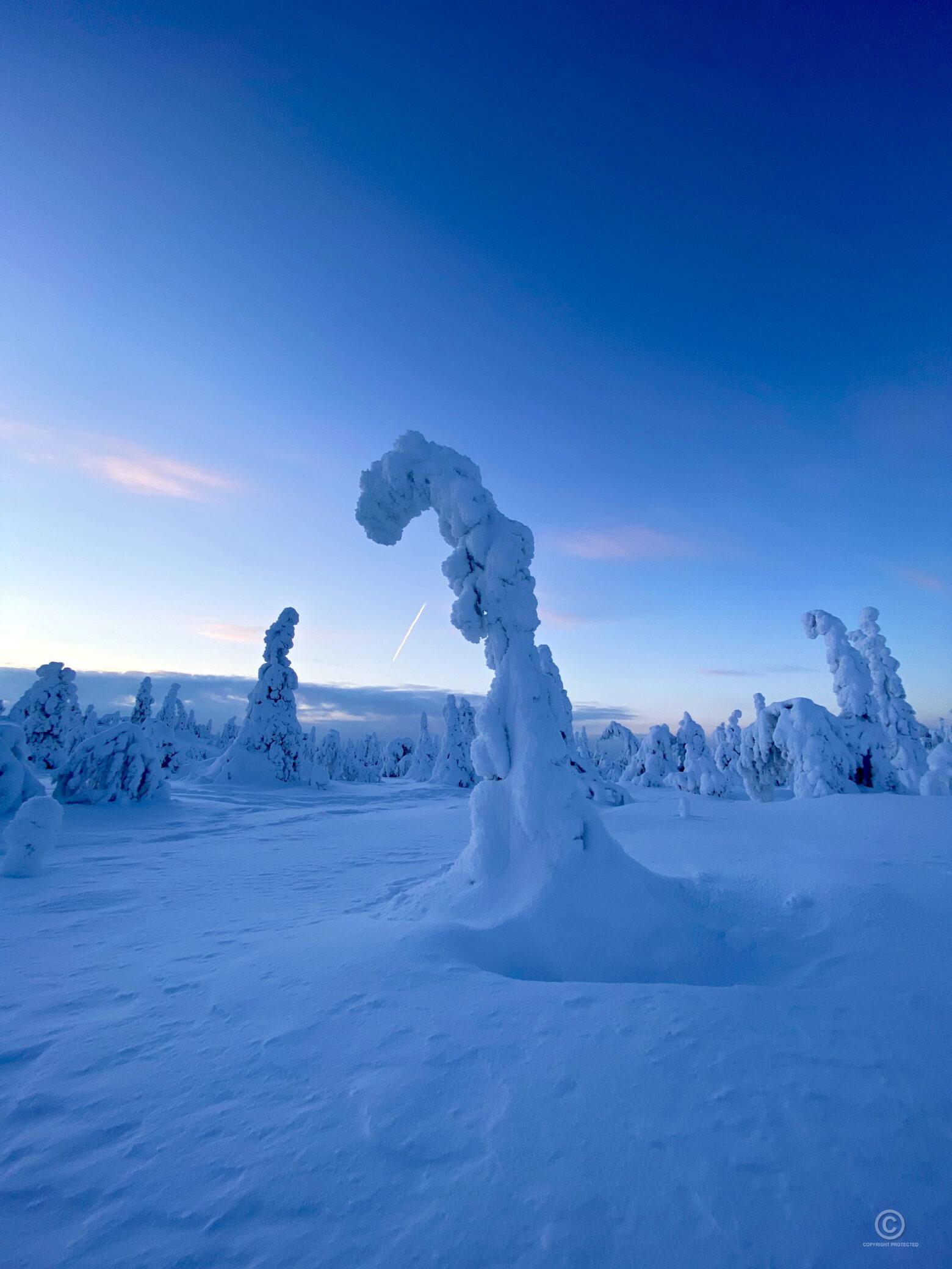 Jalanj ljet Hiekassa Visual Finland jalanj-ljet-hiekassa-visual-finland