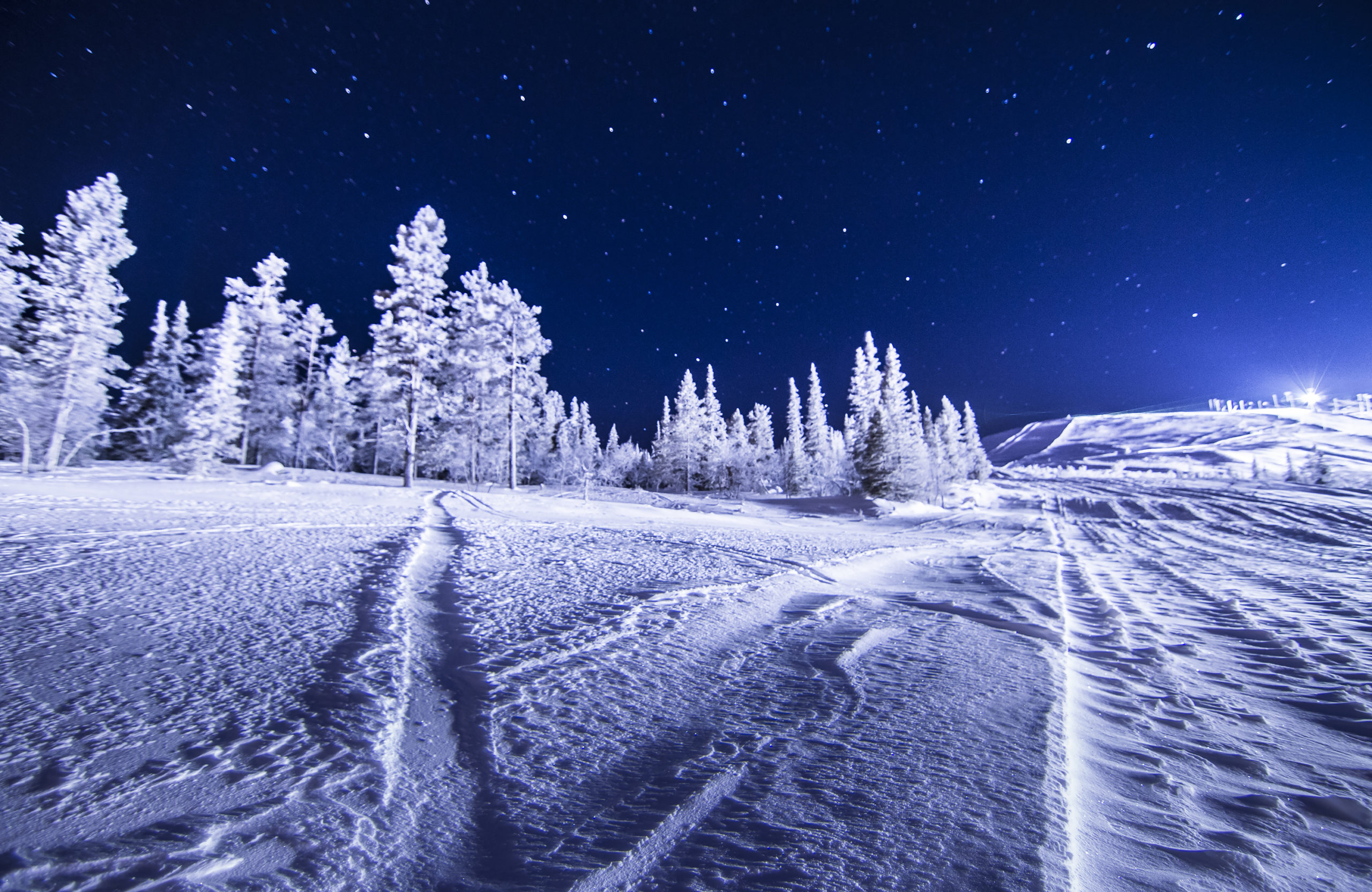 Lapin Talviy Luminen Mets Upean T htitaivaan Alla Visual Finland Lapin Talviy Luminen Mets Upean T htitaivaan Alla Visual Finland