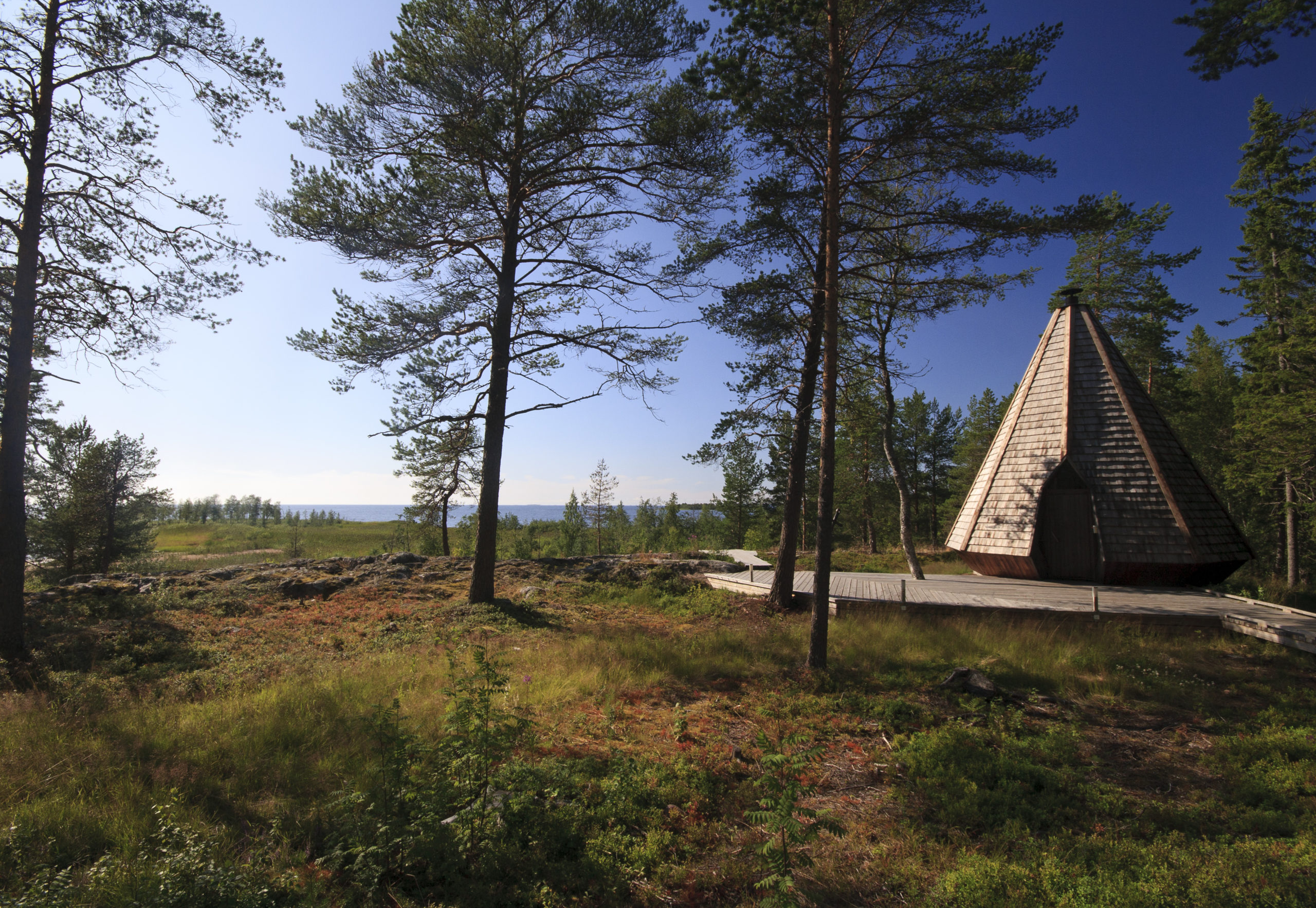 Kuva Kaunis Pakkasaamu Mets ss Vaasa Visual Finland