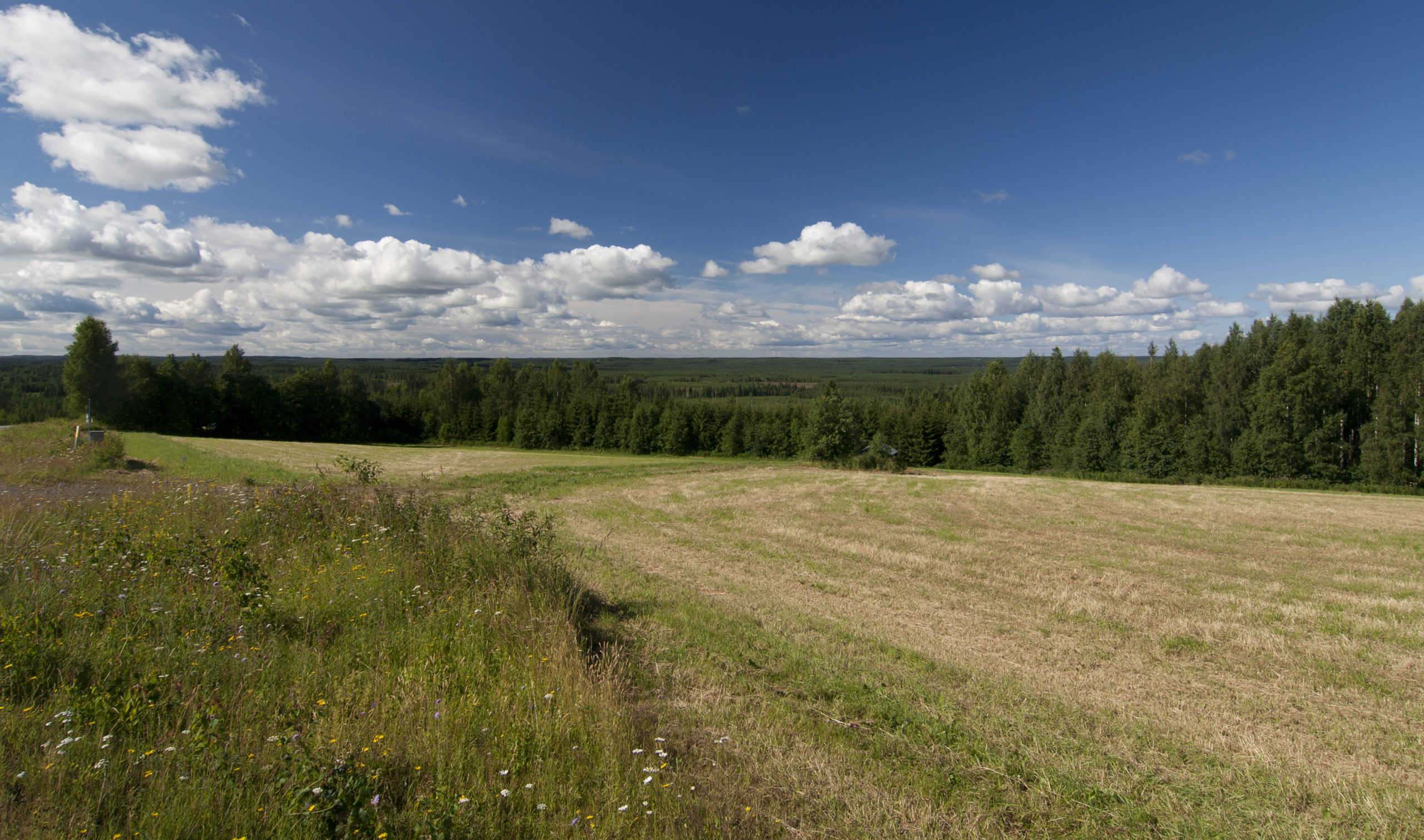 Kuva Peltomaisema Pohjois Karjalassa Visual Finland