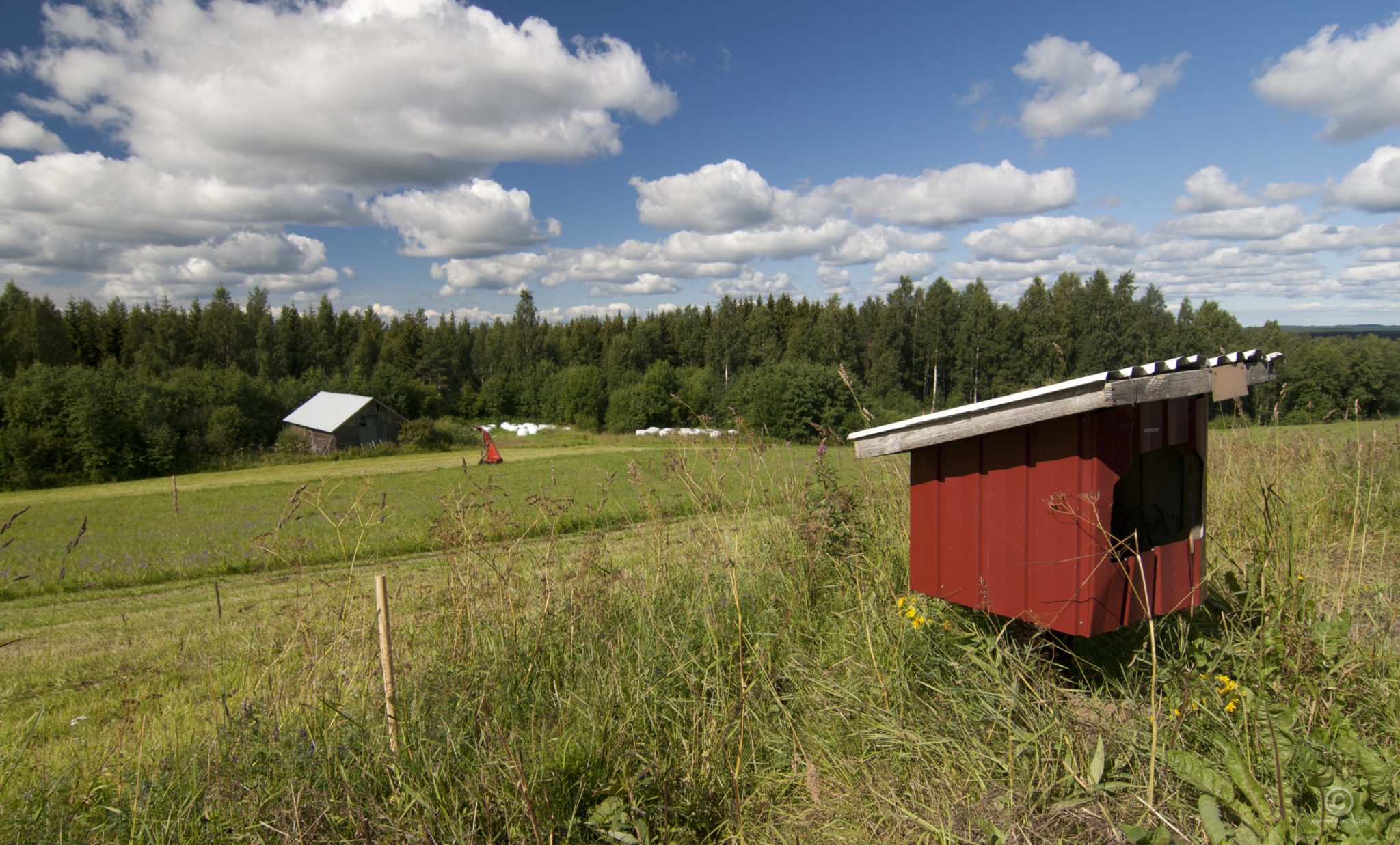 Kuva Vanha Postilaatikko Tien Varressa Pohjois Karjalan kuva-vanha-postilaatikko-tien-varressa-pohjois-karjalan